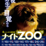 今年も開催！動物の夜の生態が見られるいしかわ動物園の人気イベント”ナイトZOO”